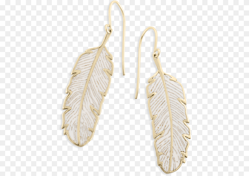 Earrings, Accessories, Earring, Jewelry Png Image