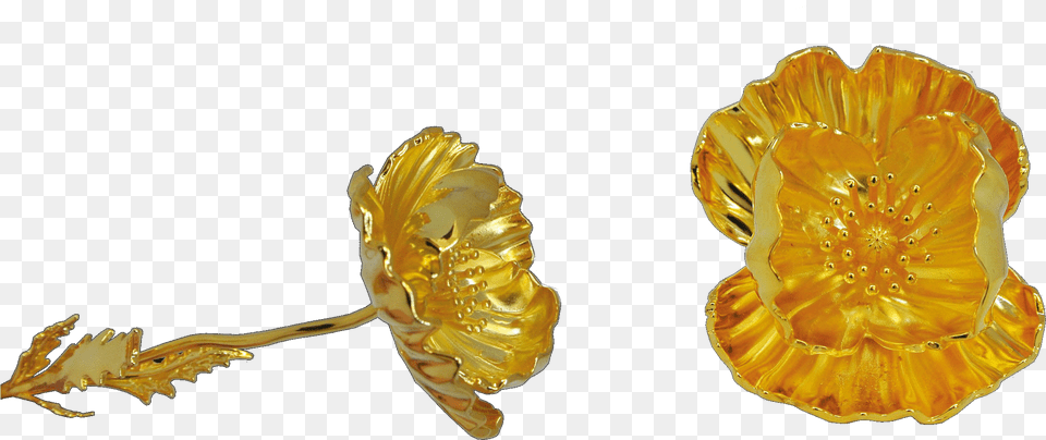 Earrings, Accessories, Jewelry, Gemstone, Ornament Free Transparent Png