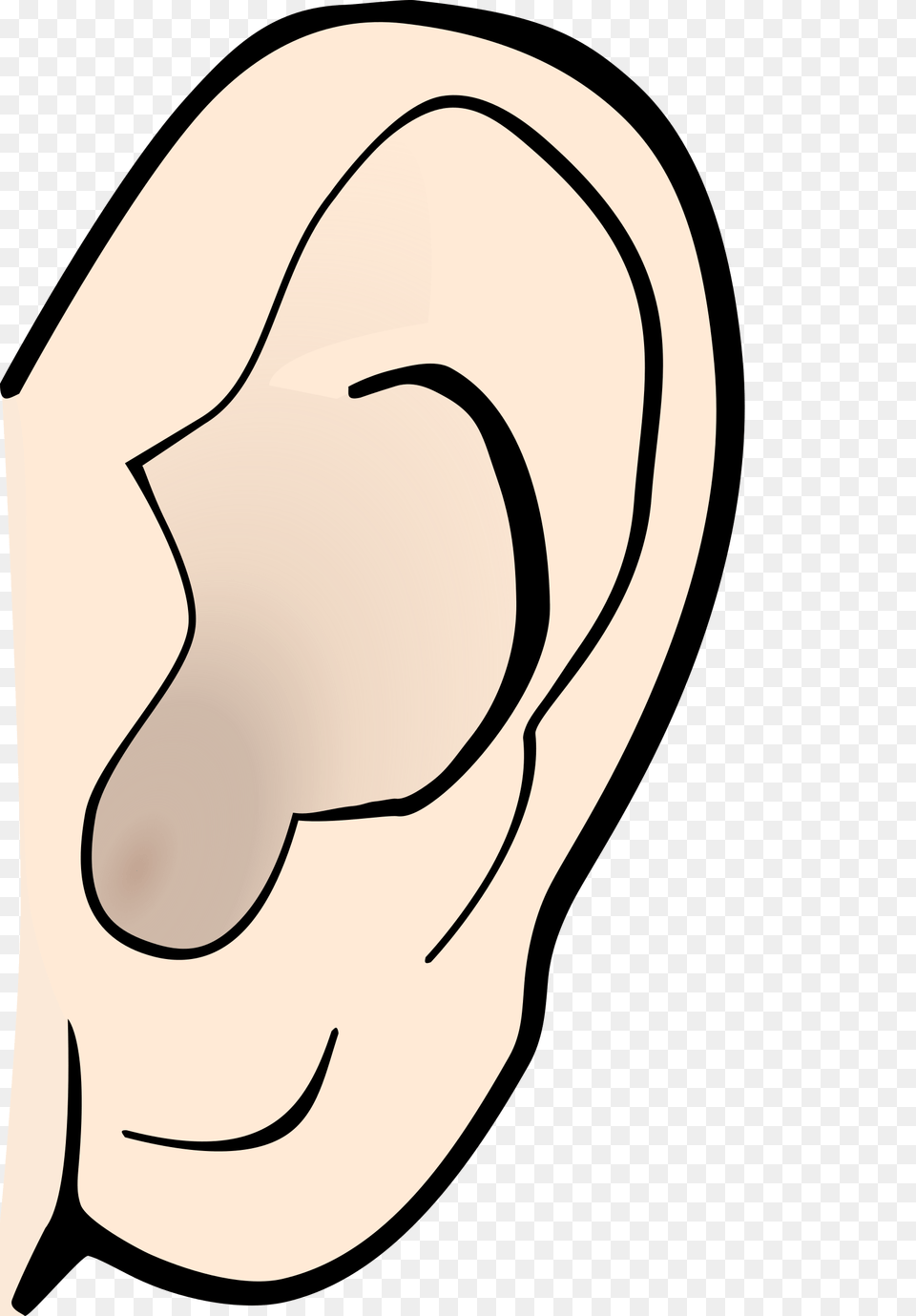 Ears Clip Art, Body Part, Ear, Person Free Png Download