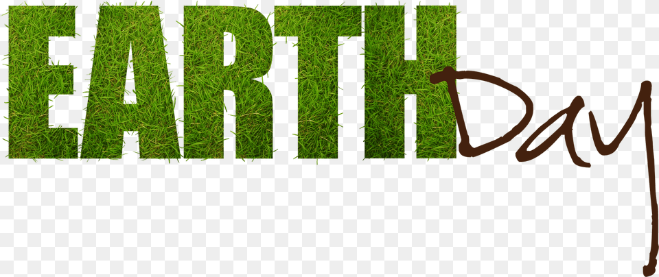 Earth, Grass, Green, Moss, Plant Free Png