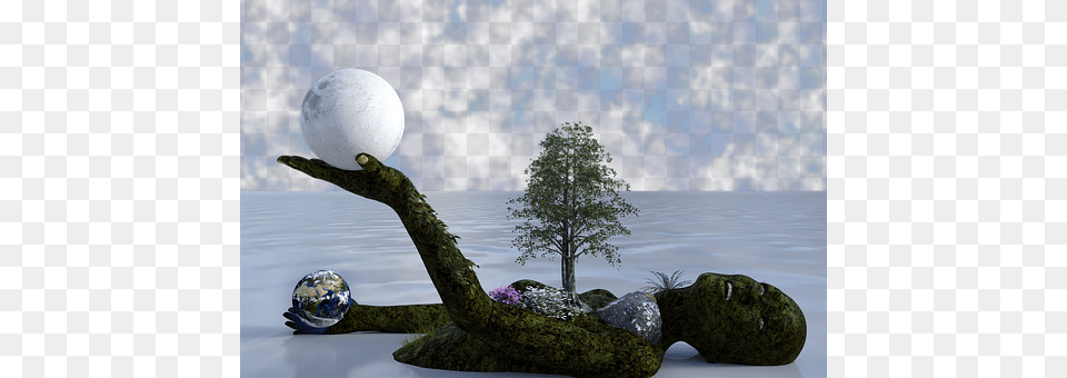Earth Tree, Sphere, Plant, Outdoors Free Transparent Png