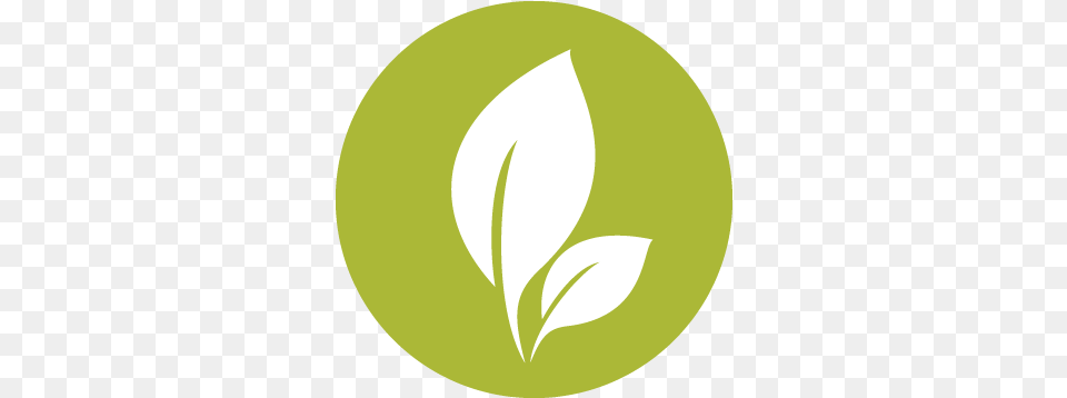 Earth Icon Circle, Plant, Leaf, Herbal, Herbs Png