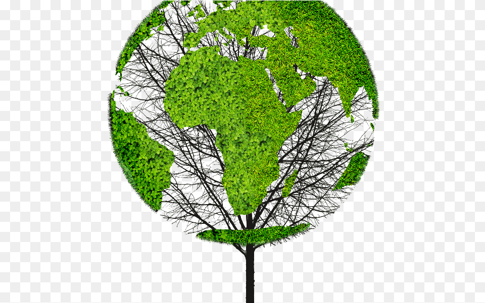 Earth World Map Green Tree Object For Photoshop Green Objects, Astronomy, Globe, Outer Space, Planet Free Png Download