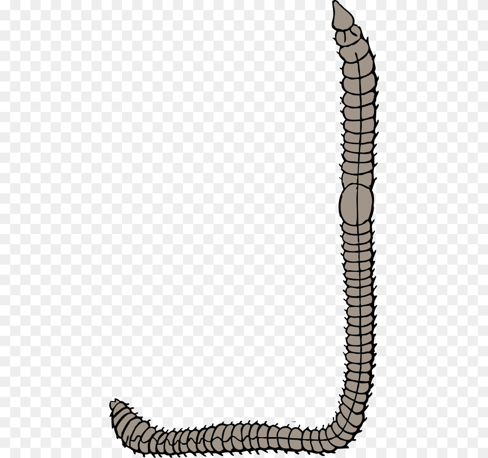 Earth Worm Clip Arts For Web, Electronics, Hardware, Accessories, Jewelry Free Png