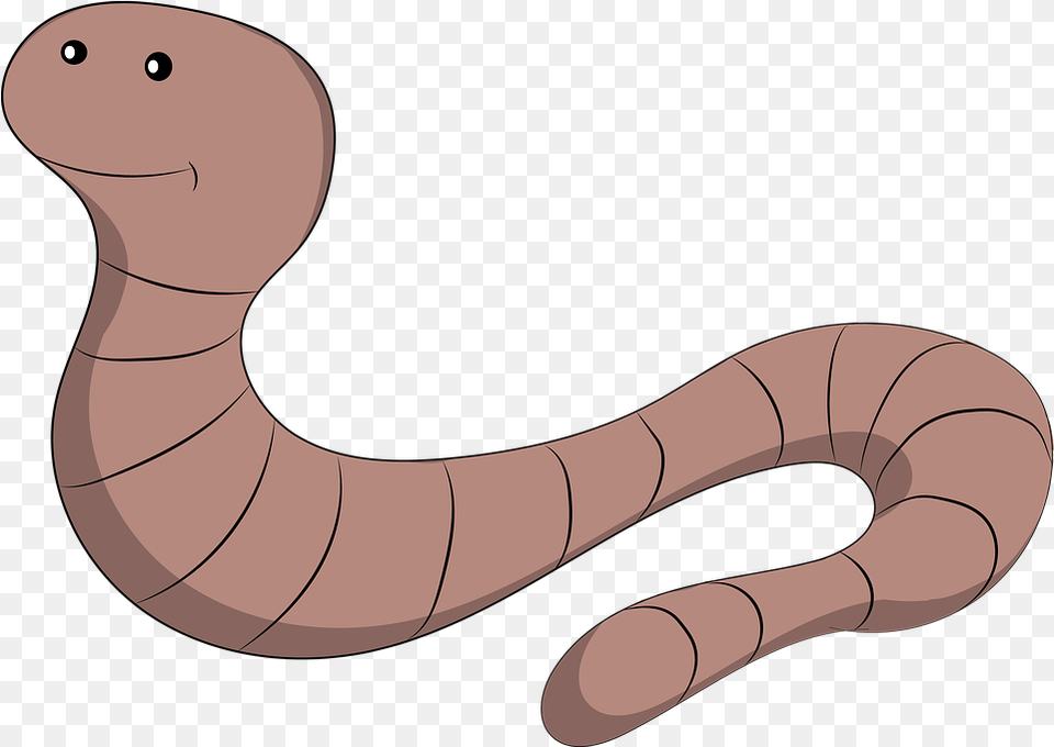 Earth Worm Earthworm Worm Meaning, Animal, Cobra, Reptile, Snake Free Png Download