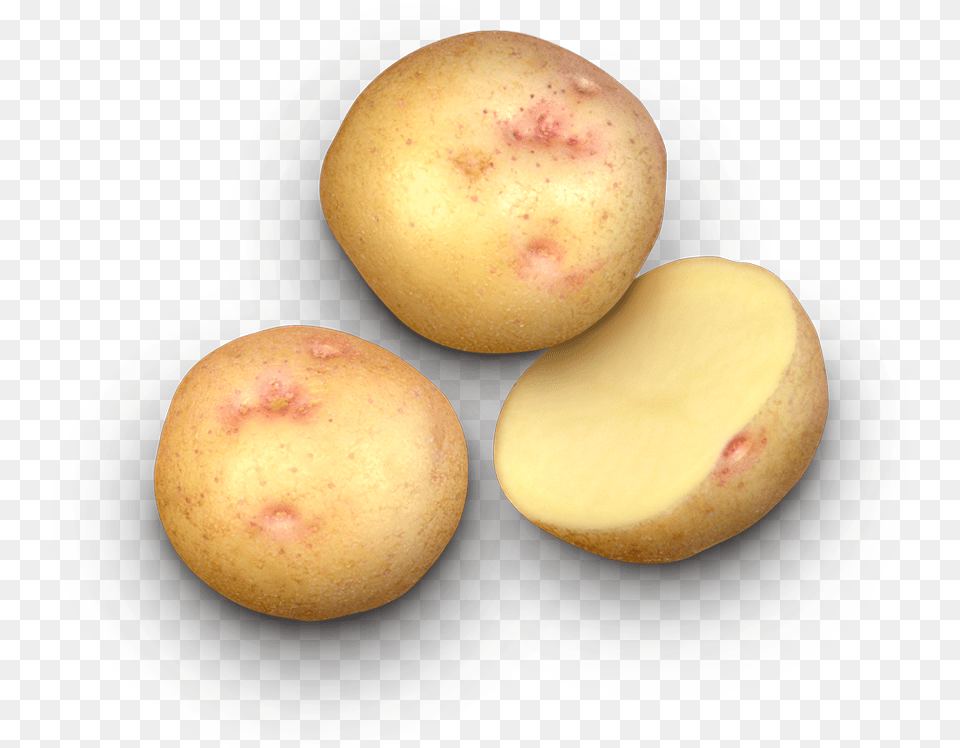 Earthapples Seed Potatoes Canada Potato Varieties In Canada, Food, Plant, Produce, Vegetable Free Transparent Png