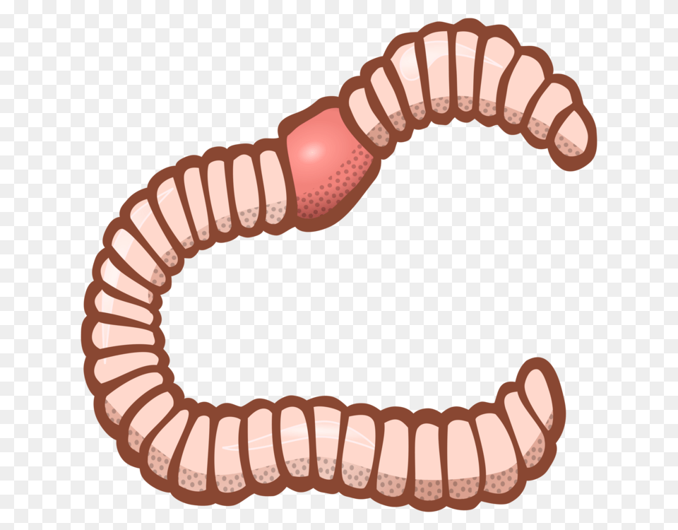Earthworm Computer Icons Encapsulated Postscript Download Animal, Invertebrate, Worm, Smoke Pipe Free Transparent Png