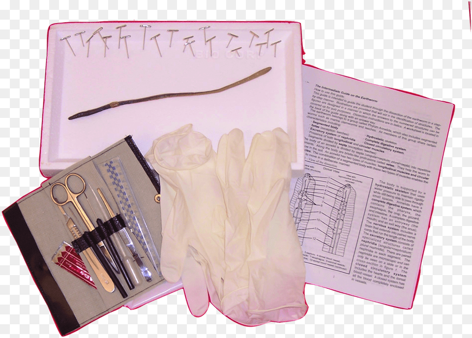 Earthworm Kit Advanced Biologyproductscom, Clothing, Glove Free Png Download