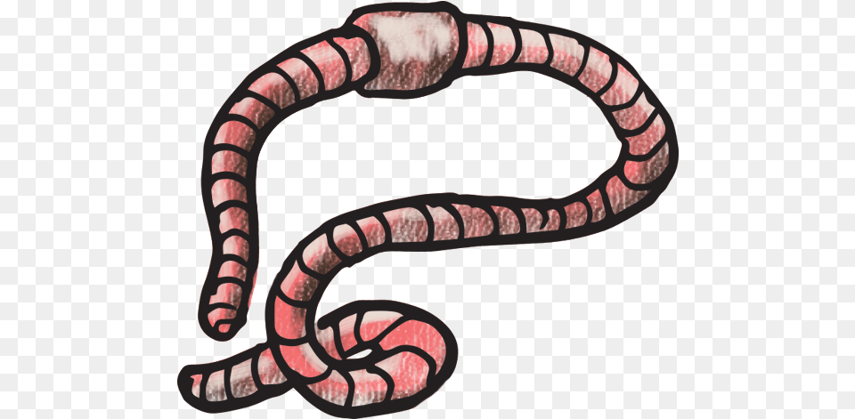 Earthworm Serpent, Animal, Smoke Pipe, Invertebrate, Worm Png Image