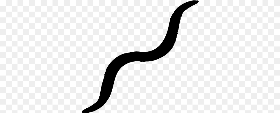 Earthworm Shape Vector Worms Black And White, Gray Free Png Download