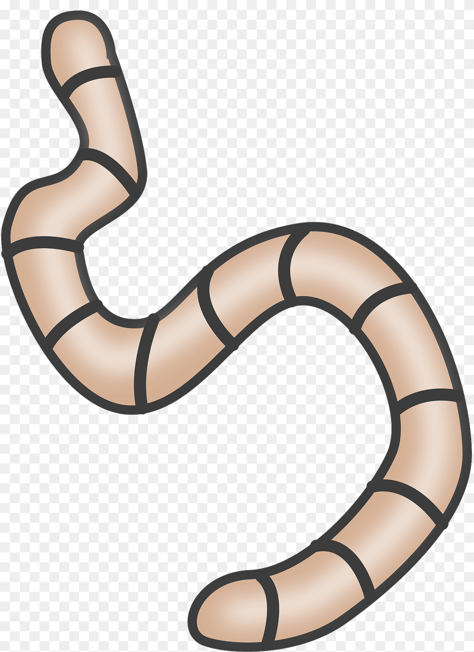 Earthworms Clipart, Smoke Pipe, Animal Png