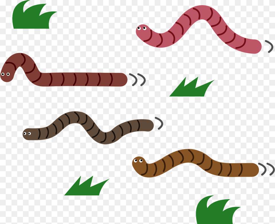 Earthworms Clipart, Animal, Reptile, Snake Free Png Download