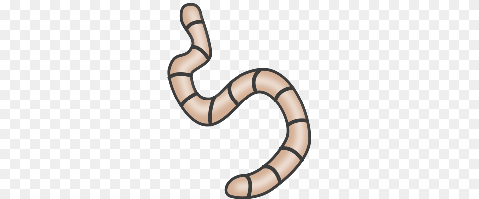 Earthworms Cliparts, Smoke Pipe, Animal Free Png Download