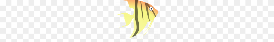 Easily Cartoon Angel Fish Angelfish Zebrafish Clip Art, Animal, Sea Life, Person Free Transparent Png