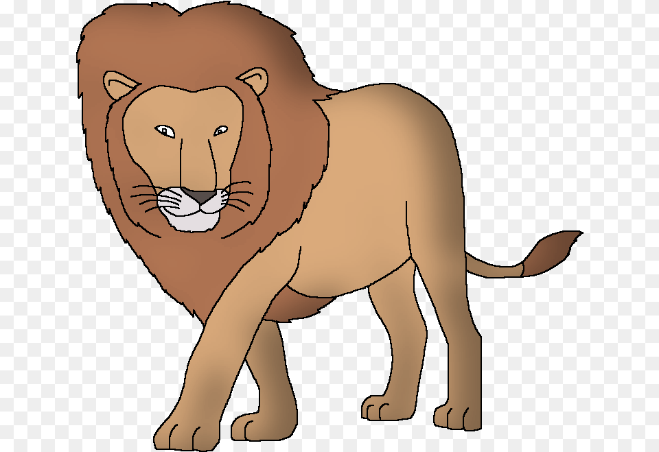 East African Lion Wildlife Animal Pedia Wiki Fandom Wildlife Animals Pedia Lion, Mammal, Person, Face, Head Png Image
