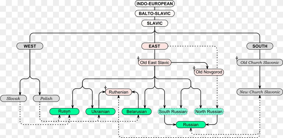 East Slavic Languages Tree En, Text Free Transparent Png