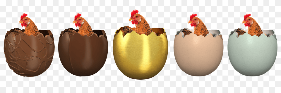 Easter Animal, Bird, Chicken, Fowl Png