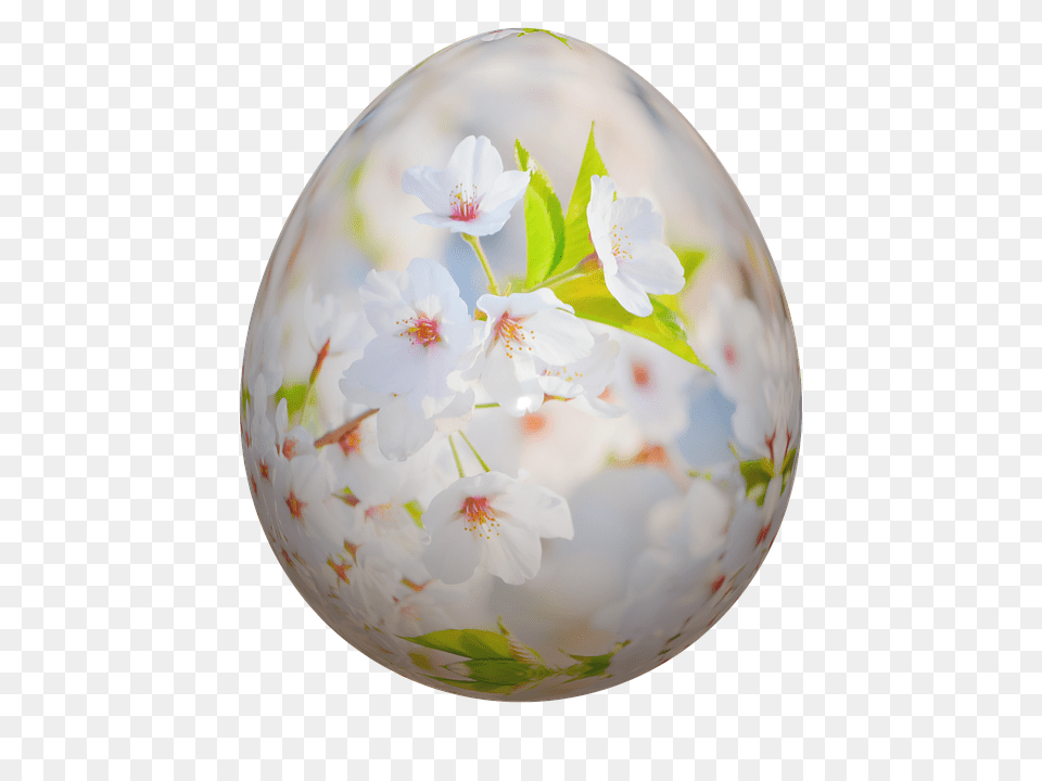 Easter Plate, Egg, Food, Easter Egg Png
