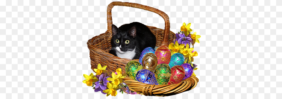 Easter Basket, Flower, Flower Arrangement, Plant Free Png Download