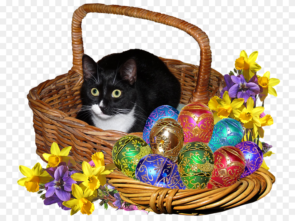 Easter Basket, Flower, Flower Arrangement, Plant Free Transparent Png