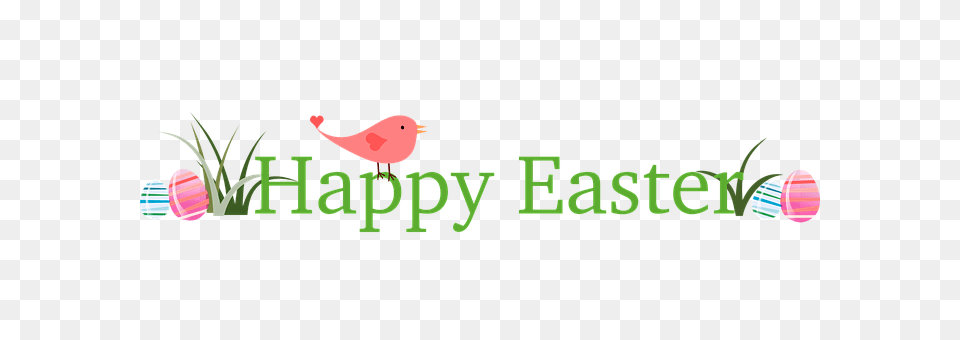 Easter Animal, Bird Free Png