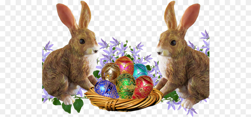 Easter Basket Bunny Transparent Images Easter, Animal, Kangaroo, Mammal, Hare Png