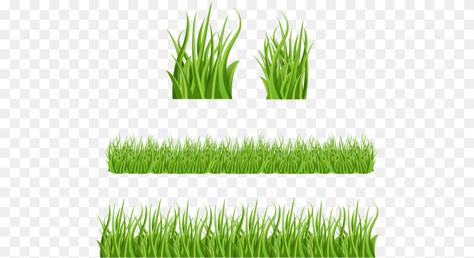 Easter Basket Grass Bild Mit Gras Zeichentrick Gras, Aquatic, Green, Moss, Plant Png Image