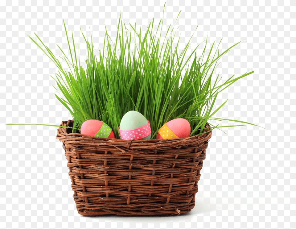 Easter Basket Image Background Easter New Life, Egg, Food, Plant Png