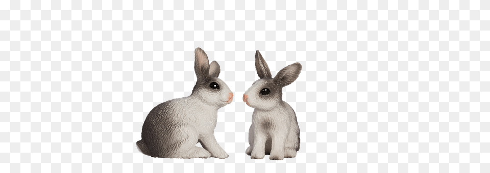 Easter Bunny Animal, Mammal, Rabbit, Rat Free Transparent Png