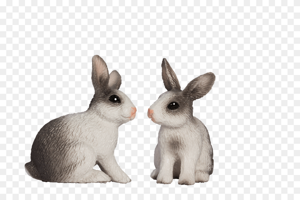 Easter Bunny Animal, Mammal, Rabbit, Rat Free Png