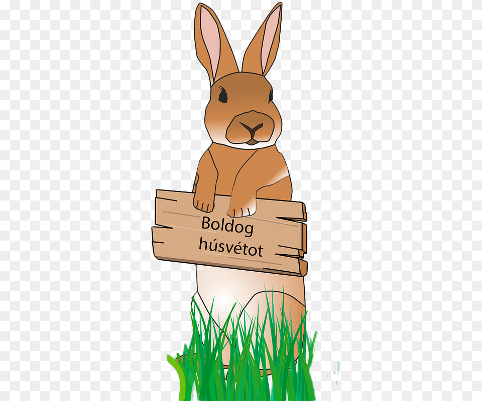 Easter Bunny Clipart, Animal, Mammal, Rabbit, Grass Png Image