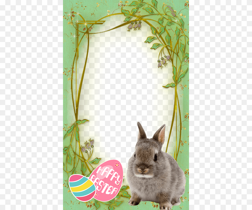 Easter Bunny Frame, Animal, Mammal, Rabbit, Rat Free Transparent Png