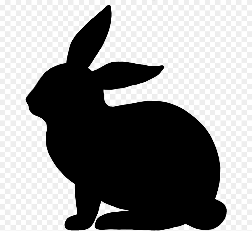 Easter Bunny Rabbit Illustration Vector Graphics Image Rabbit Vector, Gray Free Png