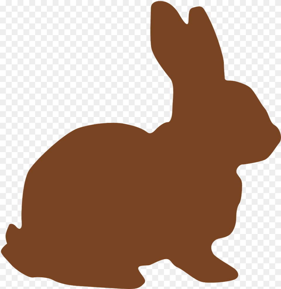 Easter Bunny Vector, Animal, Mammal, Rabbit, Baby Png