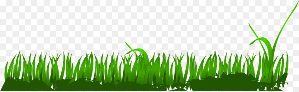 Easter Cartoon Grass, Green, Plant, Vegetation, Aquatic Png