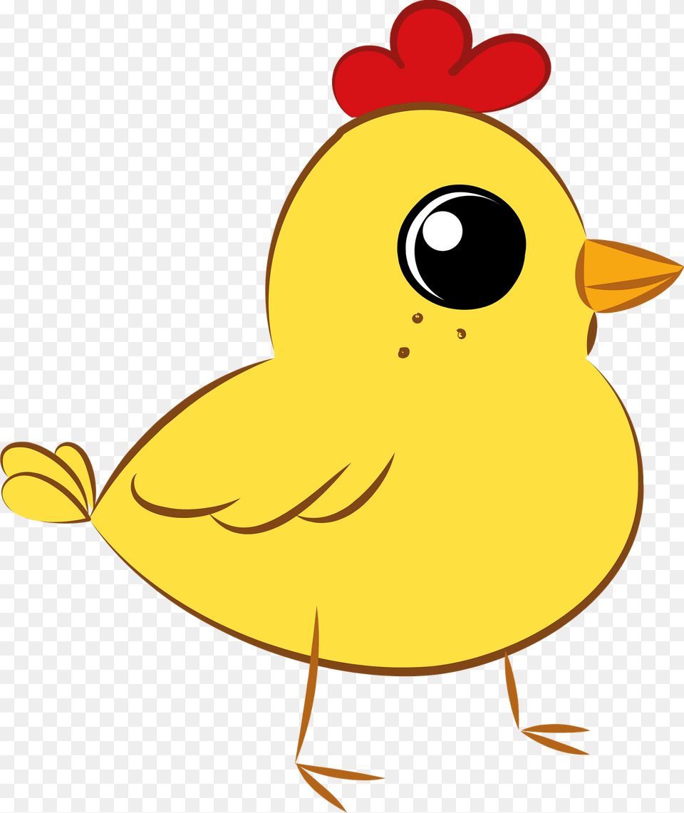 Easter Chicken Clipart, Animal, Bird, Fish, Sea Life Free Transparent Png