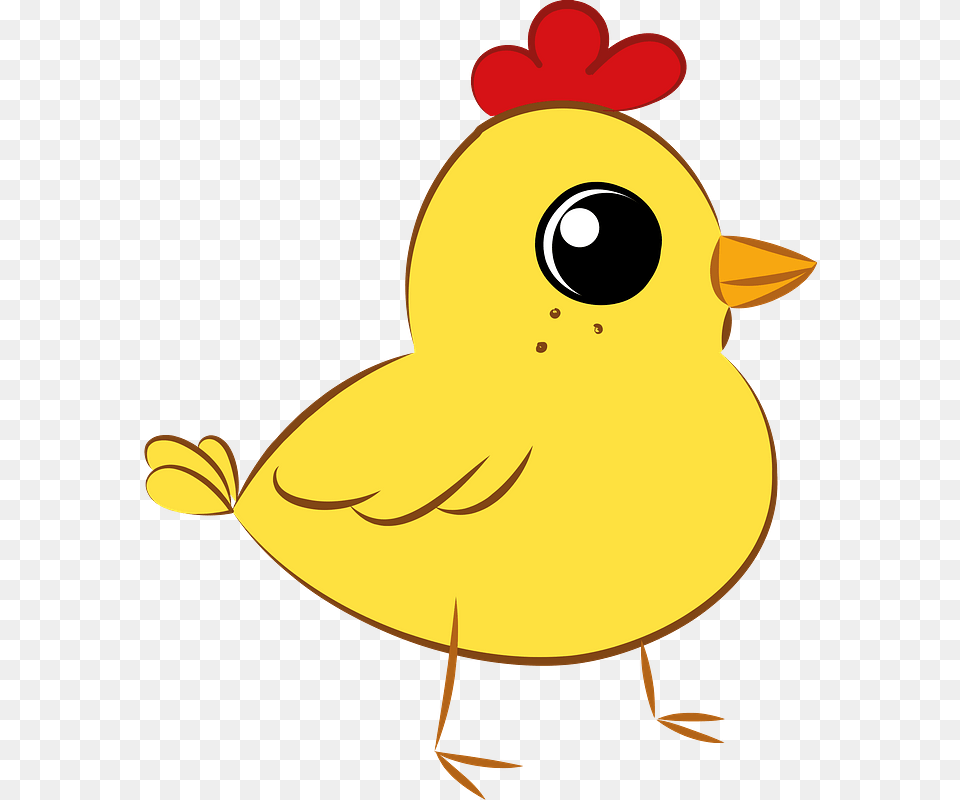 Easter Chicken Clipart Duck, Animal, Bird, Fowl, Poultry Png Image
