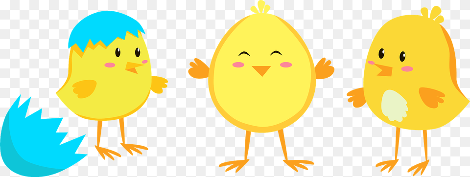 Easter Chickens Clipart, Animal, Bird Png