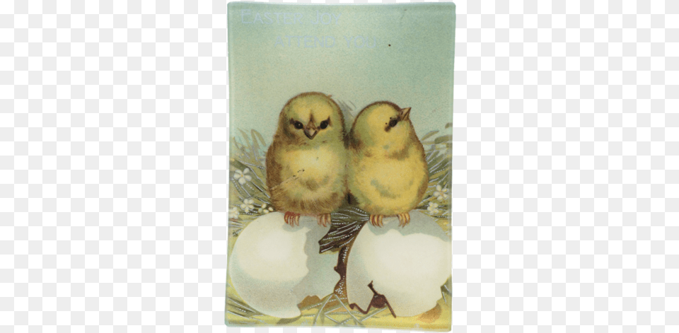 Easter Chicks Easter Chicks Easter, Art, Painting, Animal, Bird Free Png Download