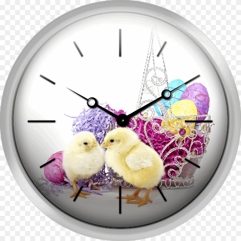 Easter Chicks Easter Clock, Animal, Bird, Chicken, Fowl Png Image