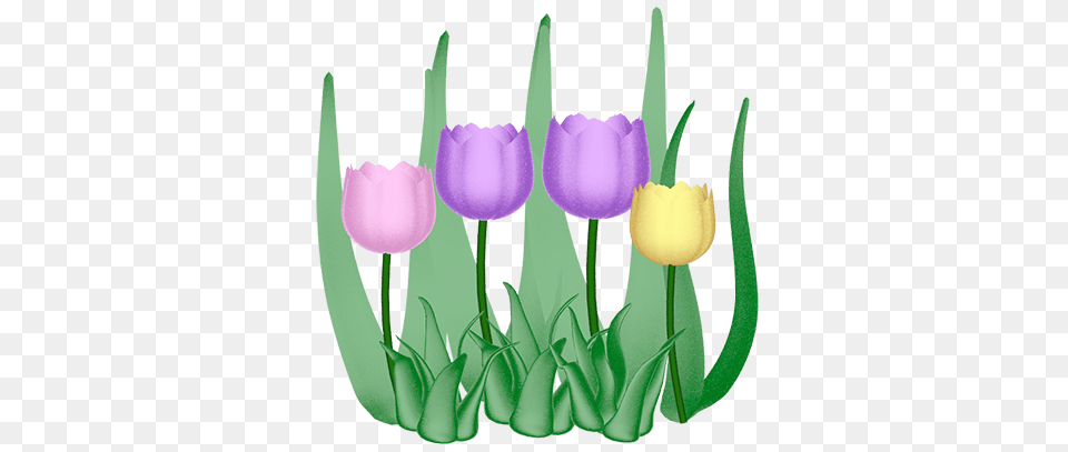 Easter Clip Art, Flower, Plant, Tulip Free Png Download