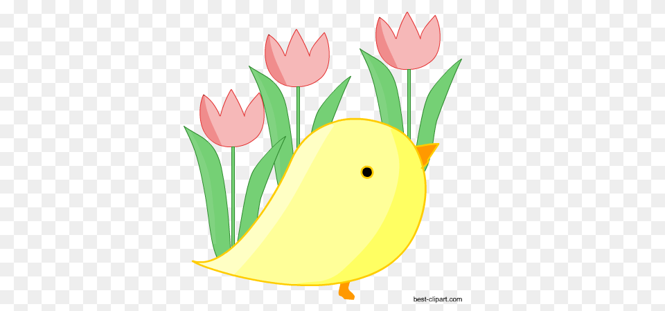 Easter Clip Art Easter Bunny Eggs And Chicks Clip Art, Flower, Plant, Petal, Animal Free Transparent Png