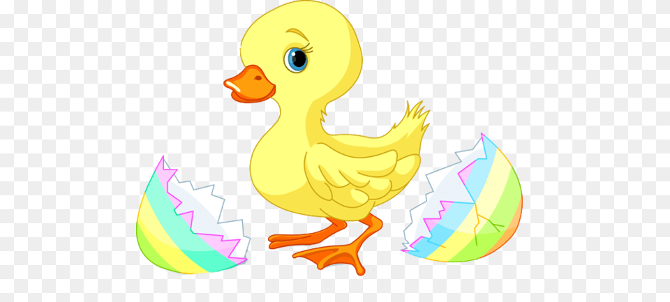 Easter Cupcake Cliparts, Animal, Bird, Duck Free Png
