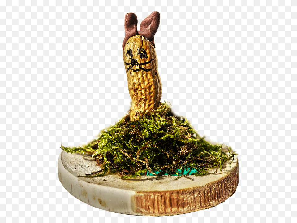 Easter Decoration Tree, Plant, Moss, Figurine Png Image