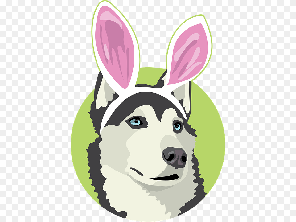 Easter Dog Dog Easter Easter Dog With Bunny Ears Cartoon, Animal, Mammal, Husky, Pet Png