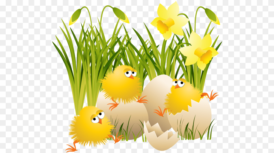 Easter Eggs In Grass For Kids C Est Le Printemps Gif Anim, Daffodil, Flower, Plant, Animal Free Png