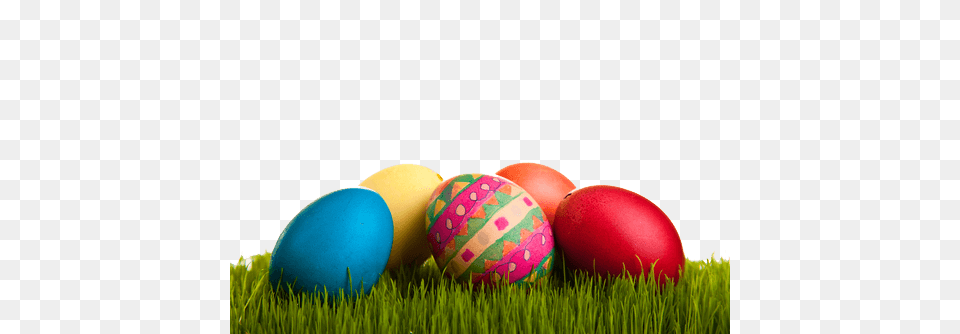 Easter Eggs On Grass, Egg, Food, Easter Egg, Sport Free Png Download