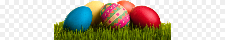 Easter Eggs On Grass Easter, Egg, Food, Easter Egg, Sport Png