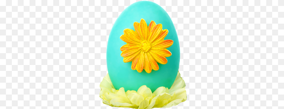 Easter Flower Background Transparentpng Yczenia Wielkanocne Dla Pracownikw, Easter Egg, Egg, Food, Plate Png