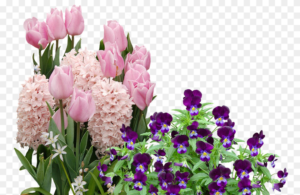 Easter Flower Easter Flowers, Flower Arrangement, Flower Bouquet, Geranium, Plant Png Image